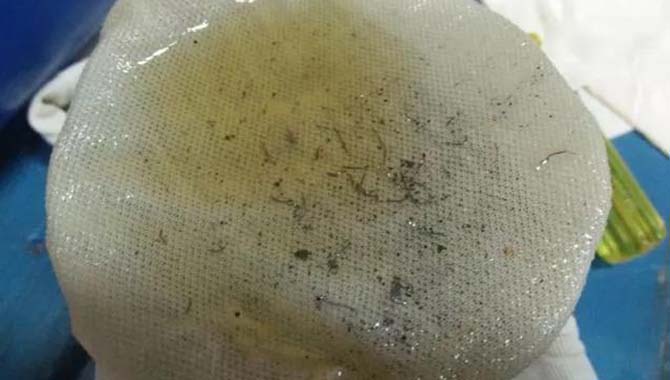 船舶艉轴承高温问题及其操作注意事项