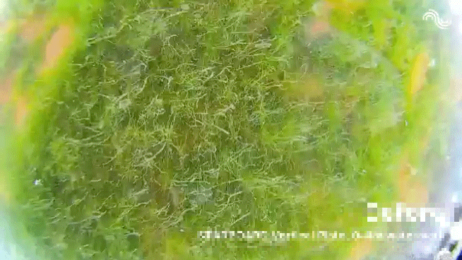 锚地24小时,我省了百万油费