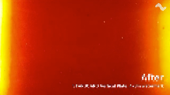 锚地24小时,我省了百万油费