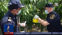 海关总署：展开严防外来物种入侵专项行