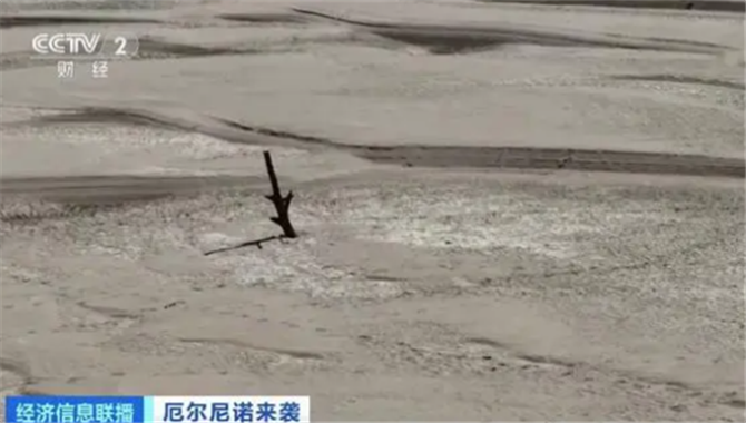 巴西亚马孙河最大支流水位大幅下降，航